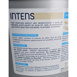 INTENS - Pot de 10L de Peinture Acrylique Blanc Mat Monocouche