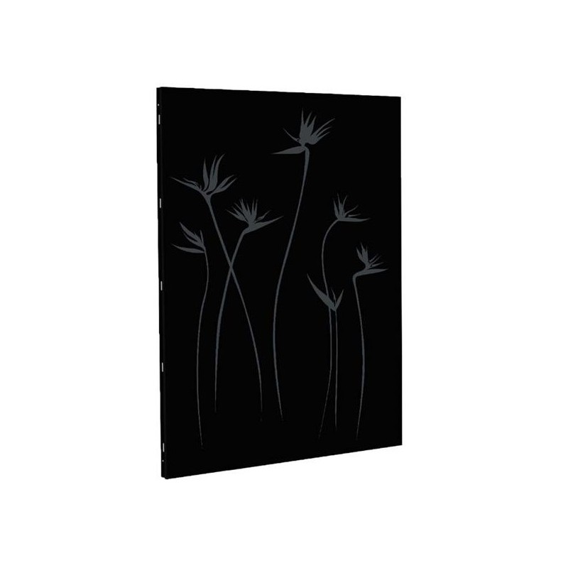 Plaque de Protection Murale DIXNEUF Paradisio Pour Poêles et Cheminées 81x120cm Noire