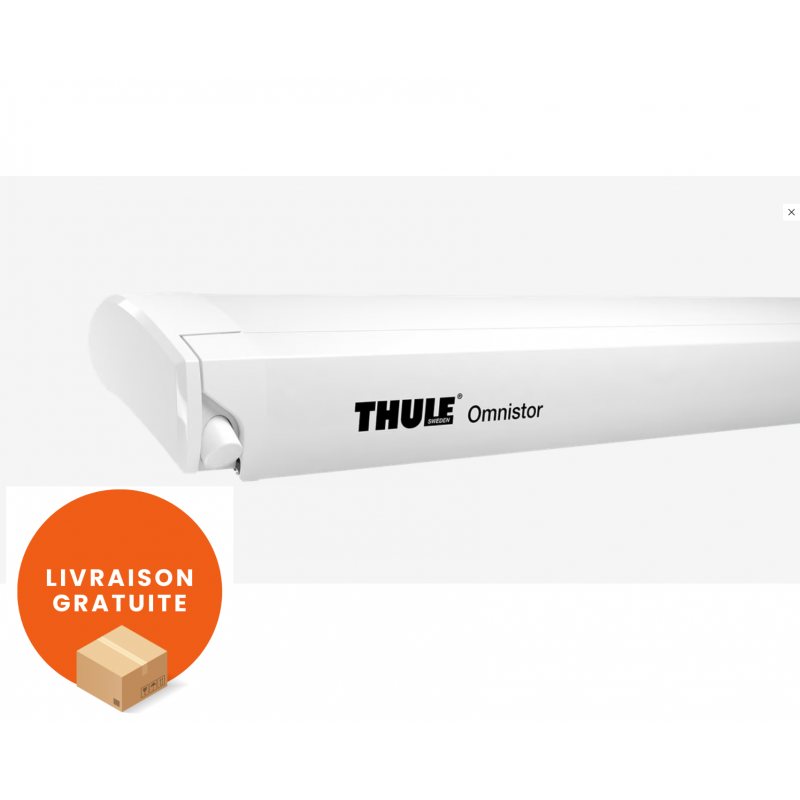 Store Électrique de Toit L4,5m THULE OMNISTOR 9200