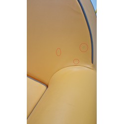 Fauteuil Chauffeuse Adulte CAMELDIAN Pullman pas cher.